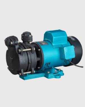 Jeevan Magic Section Pumps
